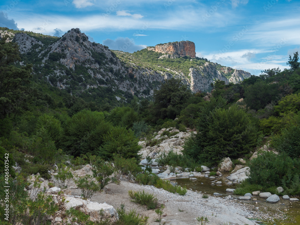Obraz premium View of dry flumineddu river on hiking trail to Gola Su Gorropu gorge and green forest landscape of Supramonte Mountains with limestone rock and mediterranean vegetation, Nuoro, Sardinia, Italy