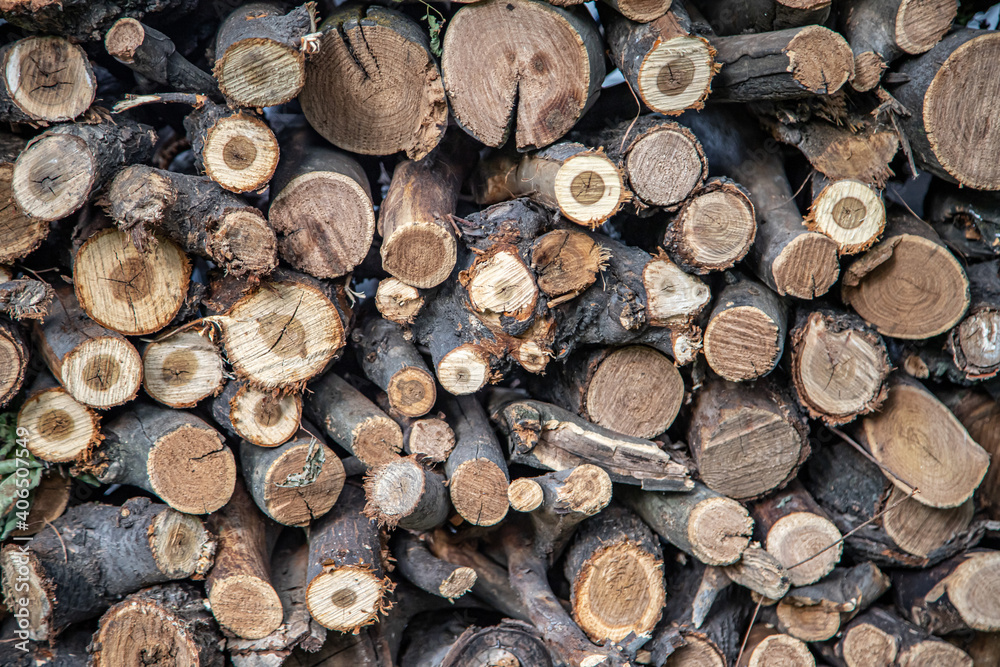 Stack of logs. natural wooden background with timber. log wall. pile of timber Stack of logs. natural wooden background with timber. log wall. pile of timber