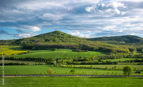Fresh green rural landscape in Saxony, Germany © konoplizkaya