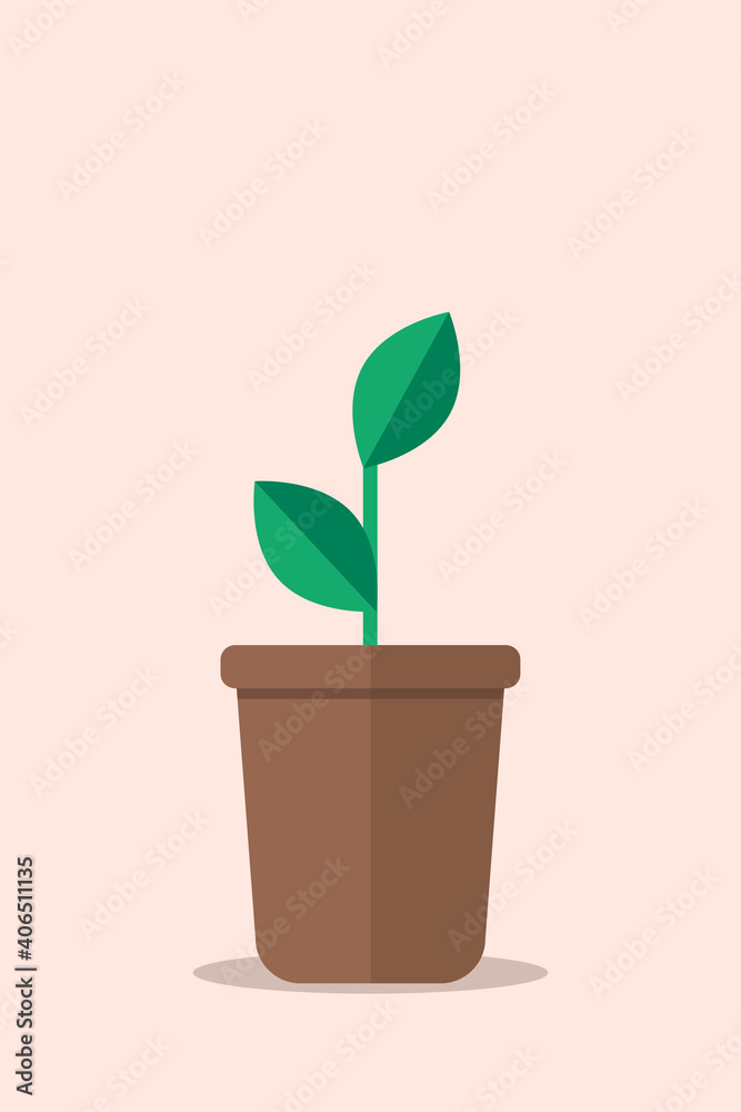 Simple plant with green leaves in brown pot. cozy home, interior details, naturalness