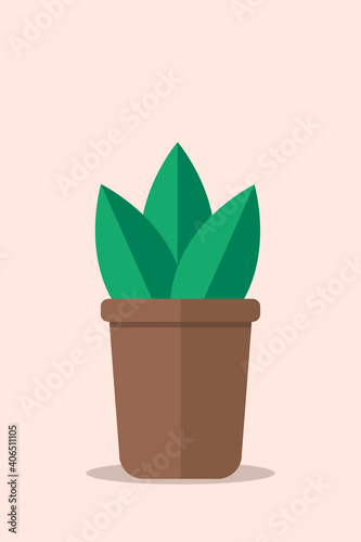 Simple plant with green leaves in brown pot. cozy home, interior details, naturalness 