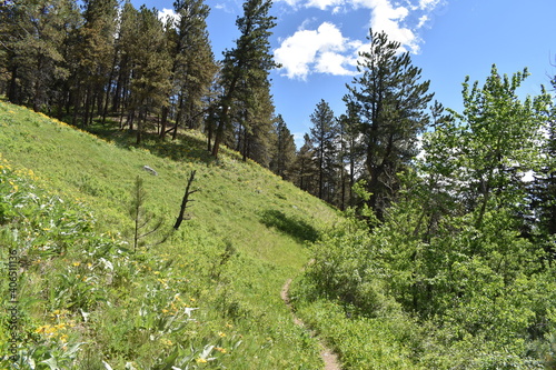 Absaroka Beartooth Wilderness Montana 2017