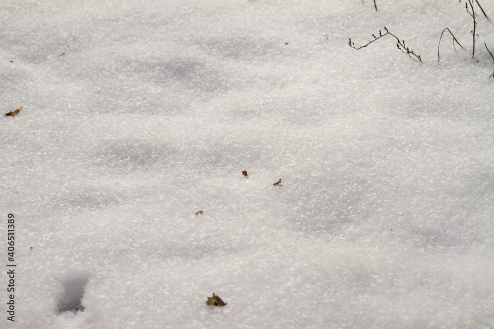 Snow surface in close up. Fresh white snow texture. Winter background. Snow surface in close up. Fresh white snow texture. Winter background.