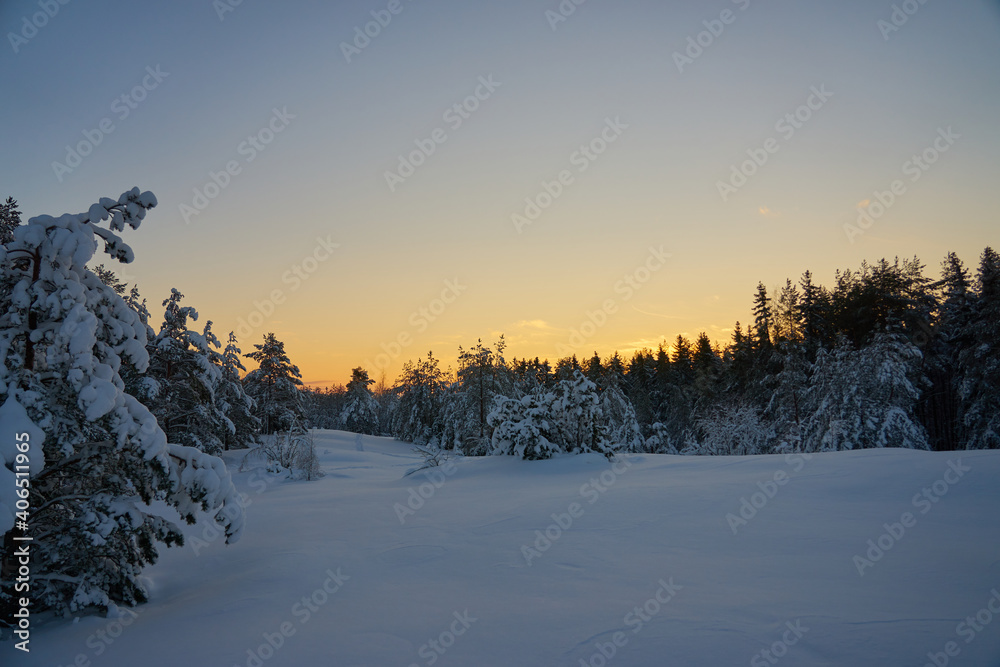 A snow-covered clearing in the woods at sunset.