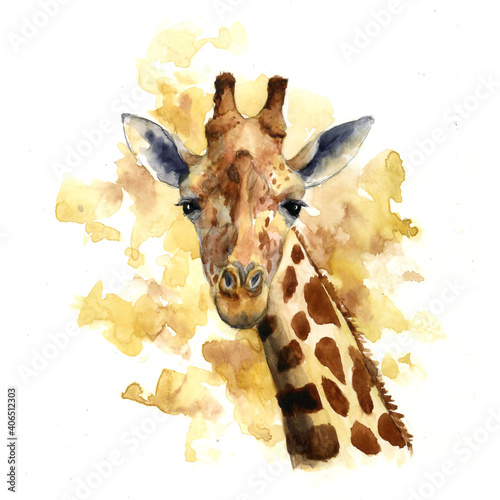 Photography Watercolor drawing head of giraffe with color spots