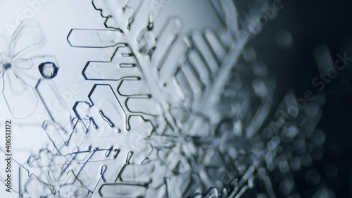Snowflake ice crystal stellar dendrite under microscope