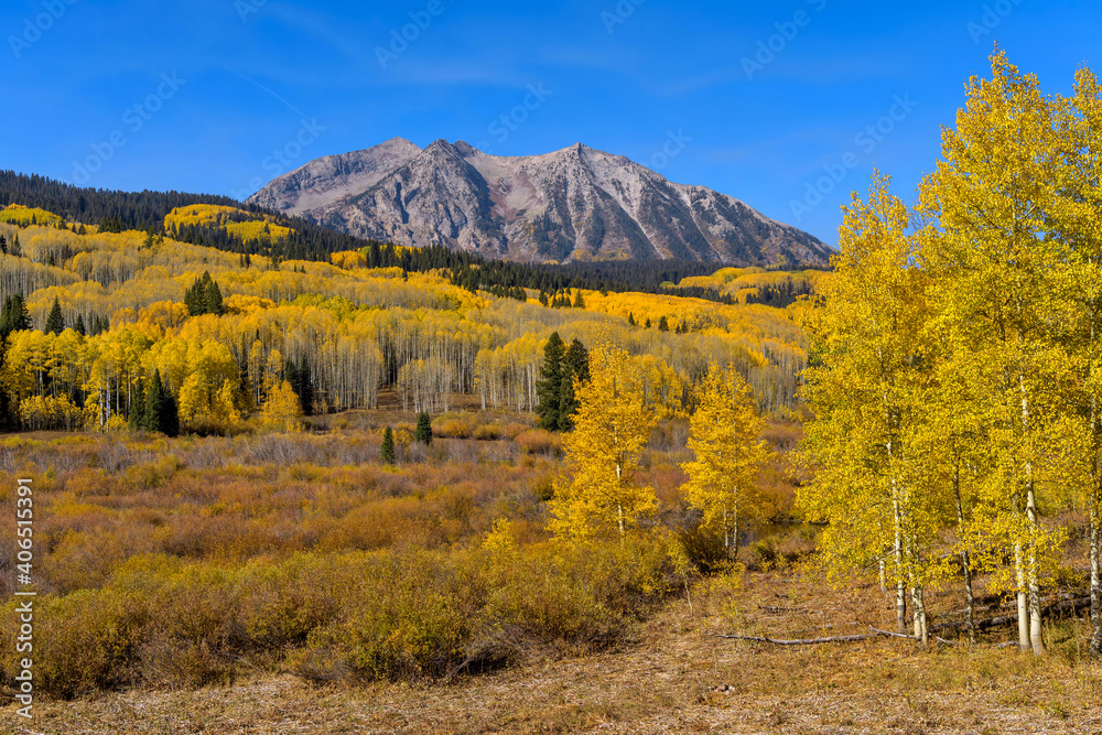 Autumn Mountain - Rugged East Beckwith Mountain surrounded by golden aspen grove and against clear blue sky, as seen from Kebler Pass on a sunny Autumn morning. Crested Butte, Colorado, USA.