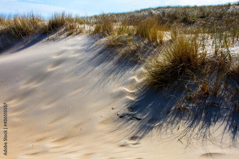 Dünen auf der Insel Texel, Niederlande Dünen auf der Insel Texel, Niederlande