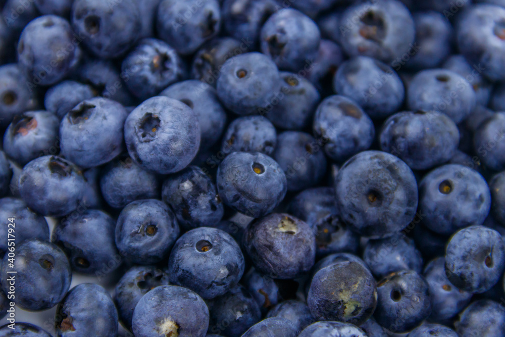 Background of the fresh blueberries Background of the fresh blueberries