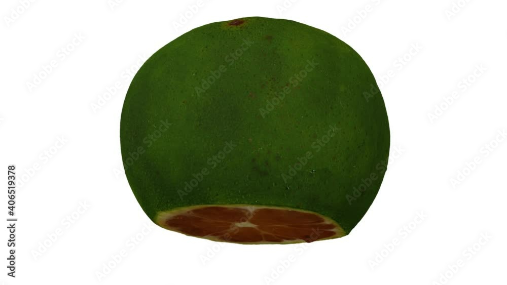 Realistic render of a rolling cut Lime on white background. The video is seamlessly looping, and the 3D object is scanned from a real lime..
