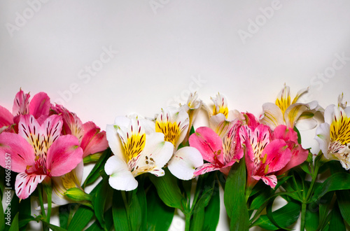 Spring flowers white and pink Alstromeria flowers bouquet on the white background. Space for text.
