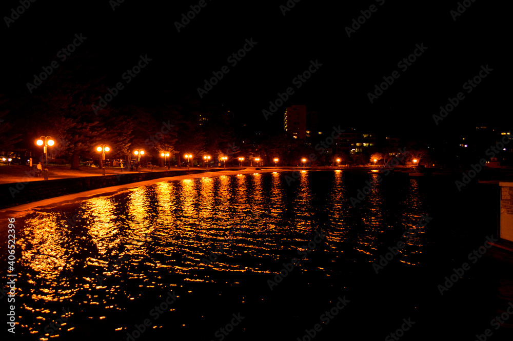 night view of the city shore