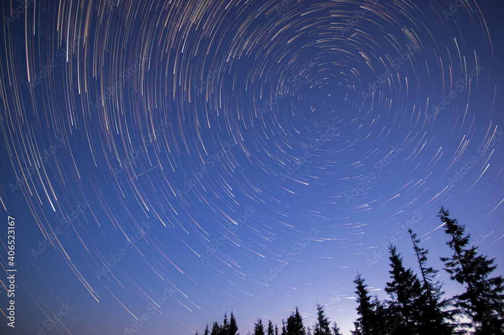 Star trails in the night sky in the forest