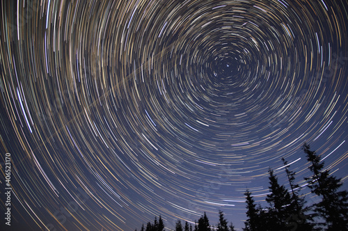 Star trails in the night sky in the forest