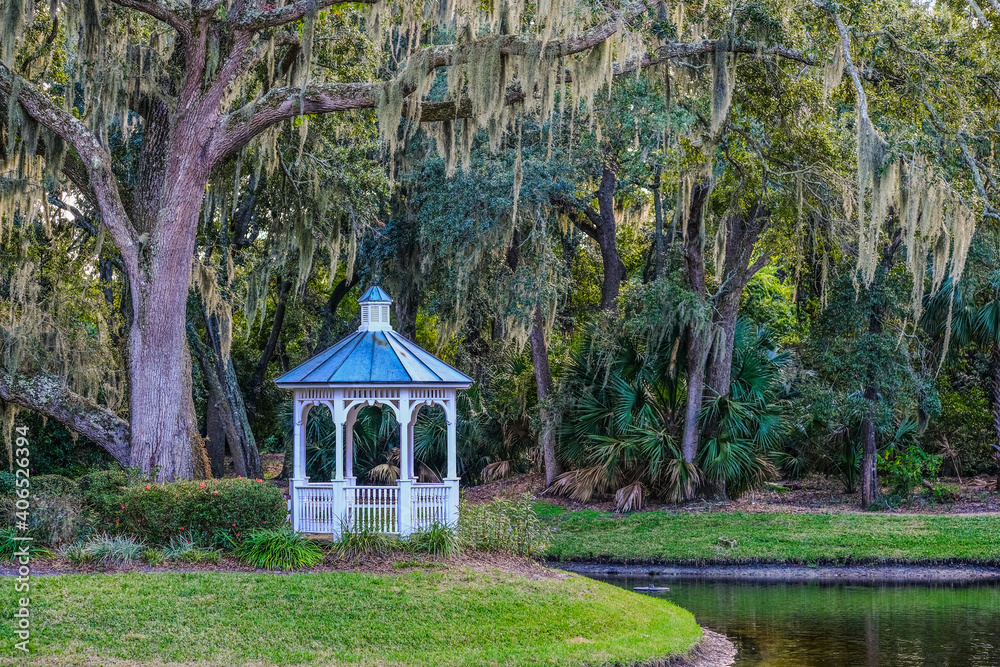 Fototapeta premium White Gazebo Under Spanish Moss in a Southern Park