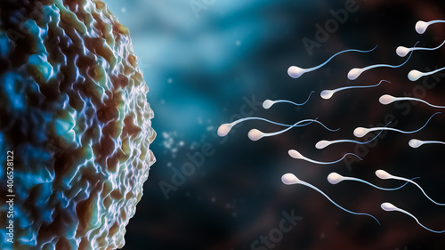 Group of sperm cells or gametes trying to enter in an ovum in order to fertilize it microscopic 3D rendering illustration. Biological reproduction, biology, microbiology, life, science concepts.
