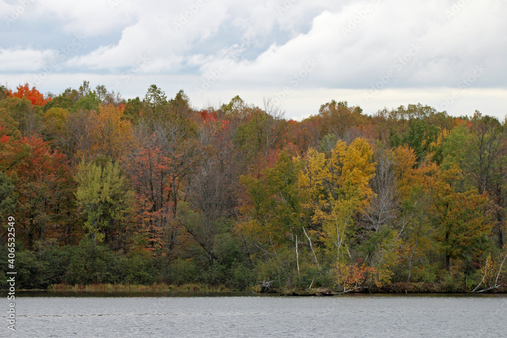 View of shoreline Big Rib River