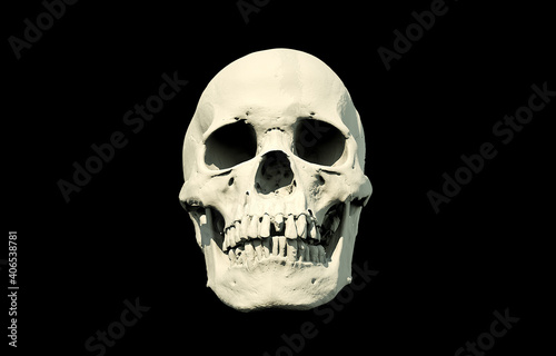 Human skull on Rich Colors a Black Isolated Background. The concept of death, horror. A symbol of spooky Halloween, Virus. 3d rendering illustration.