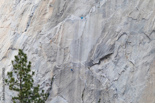 Rock climber on El Capitan, rock formation, Yosemite National Park, California, USA