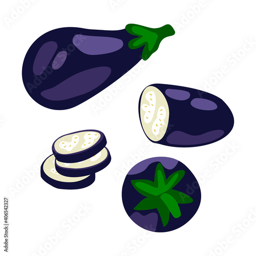 drawn image with eggplant in different projections