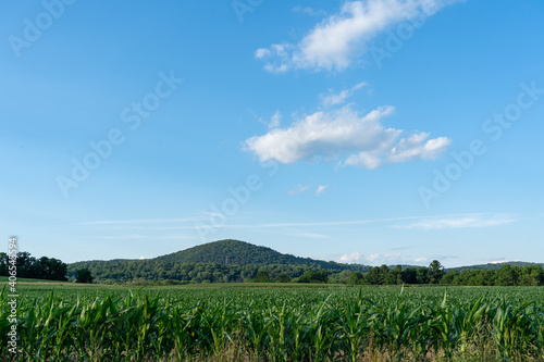 Corn Fields and Mountains
