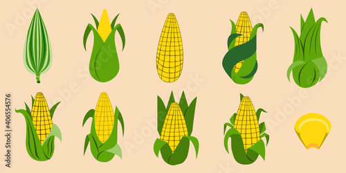 Characteristics of sweet corn hatch in different ways