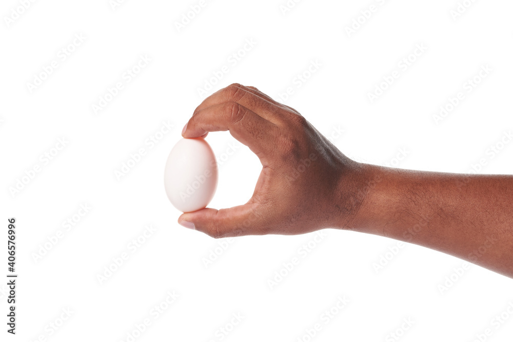 white egg in hand on white background white egg in hand on white background