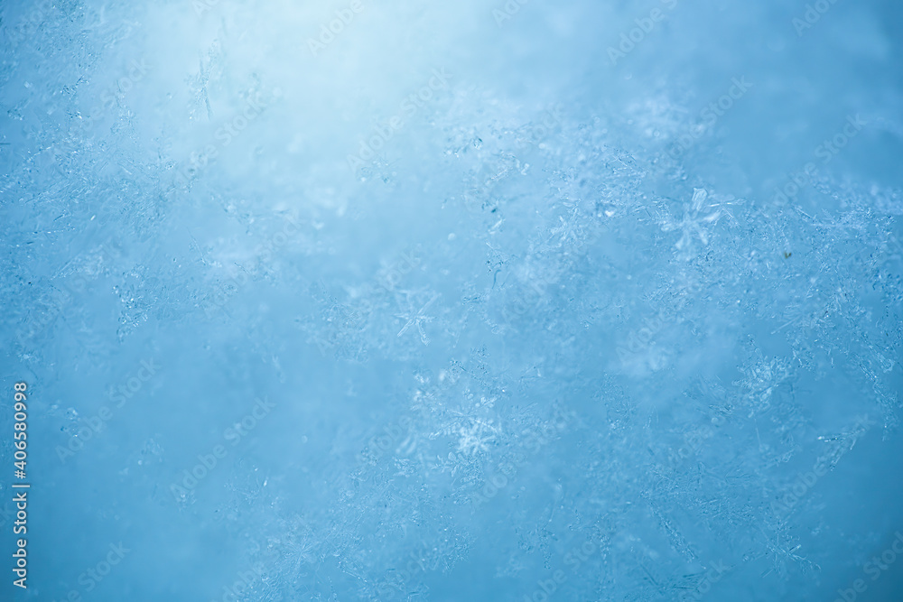 Obraz premium Macro background of fresh snowflake texture