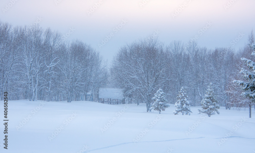 Winter landscape during a heavy snowfall