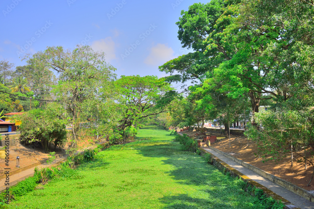 A canal in Alleppey backwaters in Kerala.