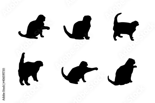 Silhouette of a cat on a white background. Vector illustration.
