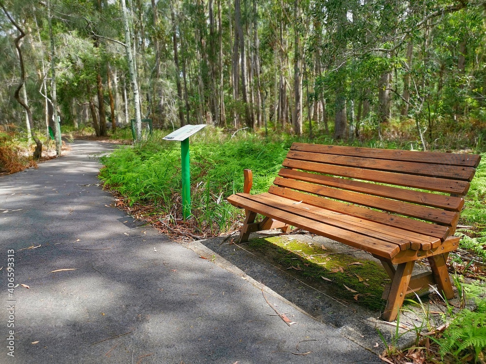 Wooden bench in the botanical garden on sunny day. Wooden bench in the botanical garden on sunny day.