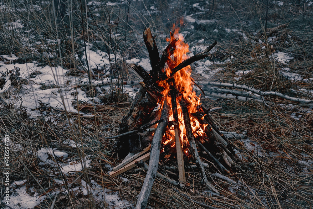 Bonfire in the autumn forest. Campfire travel trip concept Bonfire in the autumn forest. Campfire travel trip concept