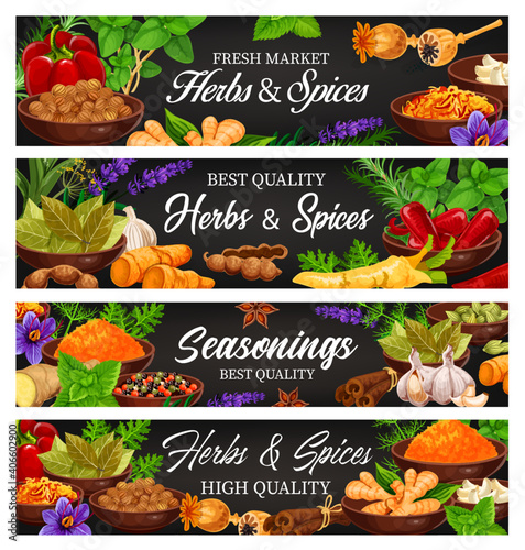 Herbs and spices, fresh food seasoning and condiment cartoon vector banners. Leaves of basil, mint, thyme, oregano and rosemary, chilli, garlic, dill and lavender flowers, pepper and cardamom seeds