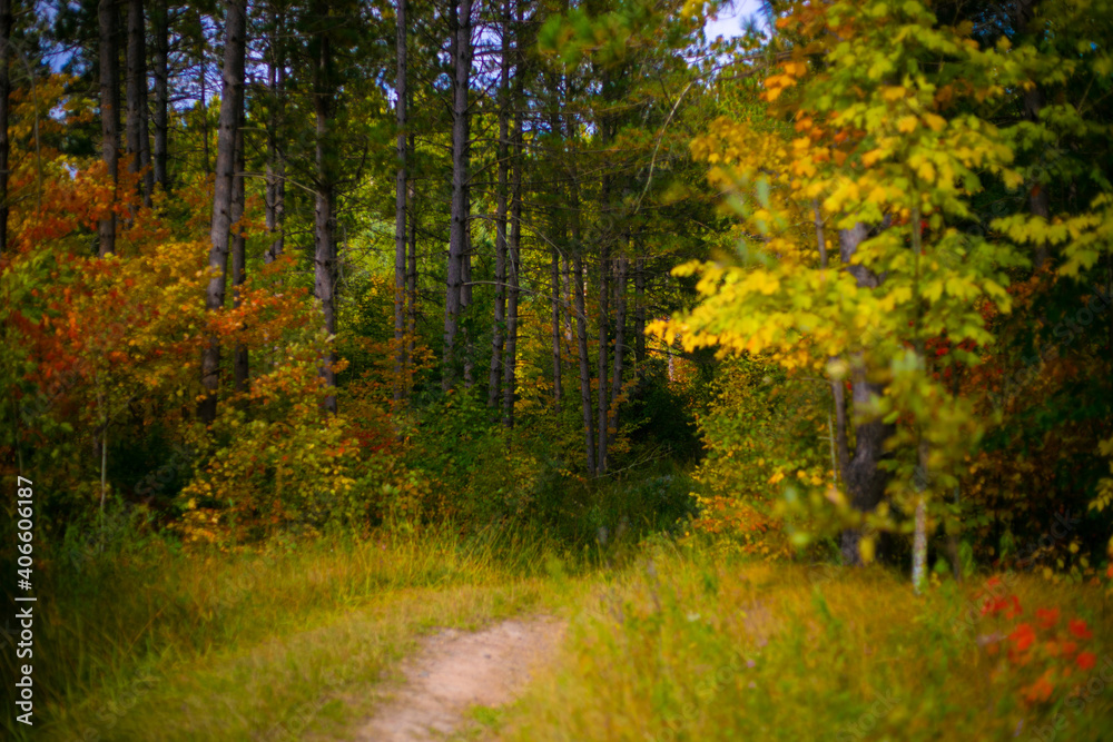 Autumn colors Autumn colors