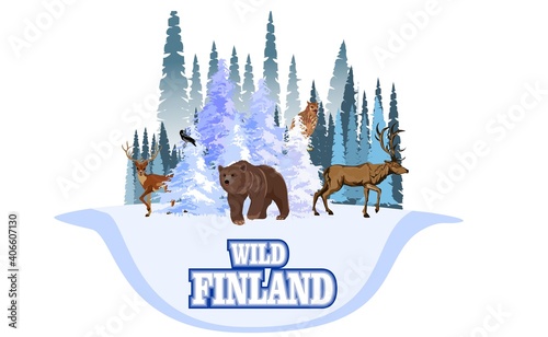 Wild Finland with wild animals,Vector Finland winter forest  with bear, reindeer and elk