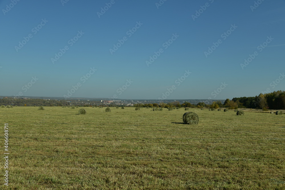 hay in rolls in a field near the city
