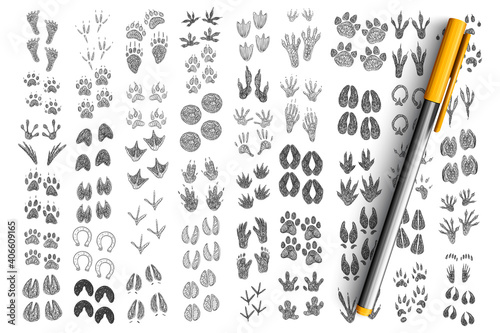 Footprints and handprints doodle set. Collection of hand drawn prints of foot and hands go human, mammals, birds, pets, reptiles isolated on transparent background