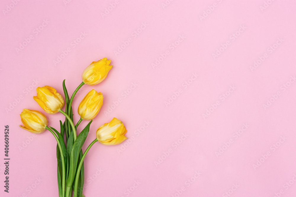 Spring flower of tulip on pink backdrop. Natural fresh bouquet of yellow flowers with copy space. Bright colors and minimal style. Top view.