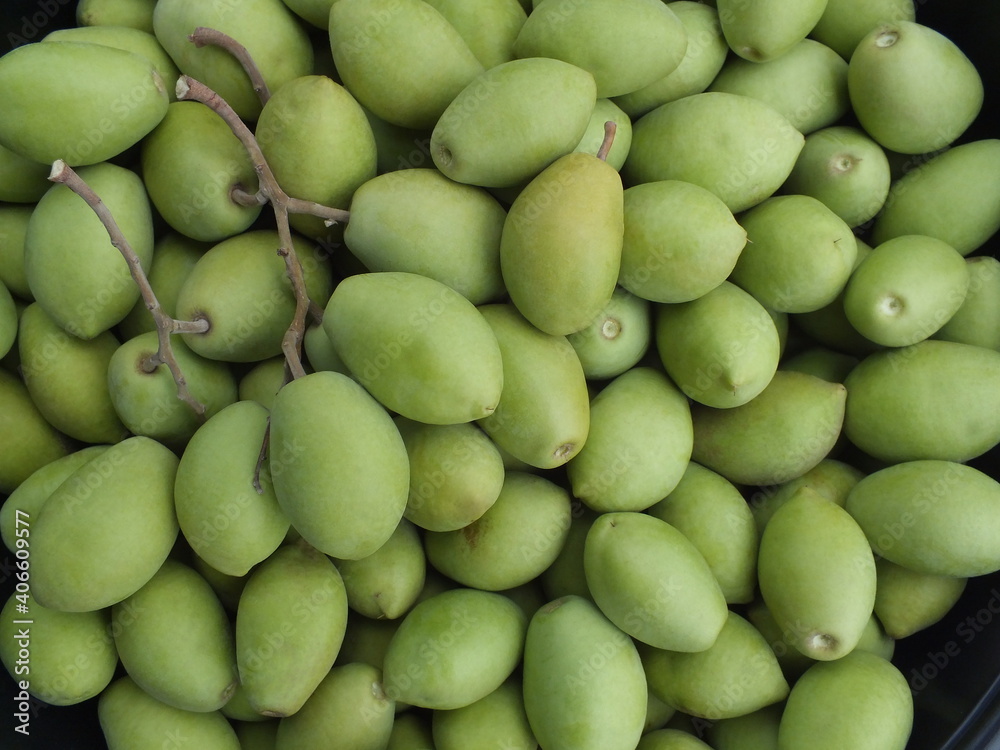 Fresh elaeocarpus hygrophilus kurz the fruit is astringent and sweet and sour. Fresh elaeocarpus hygrophilus kurz the fruit is astringent and sweet and sour.