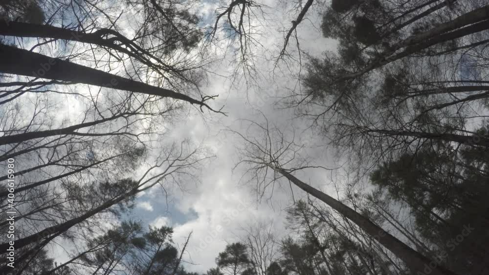 sky time lapse clouds forest wind blowing trees rotating