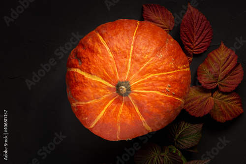 Autumn still life with orange pumpkin and fall foliage on a black background top view