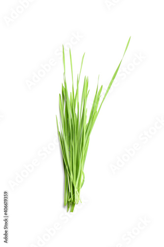 Fresh green wheatgrass on white background photo