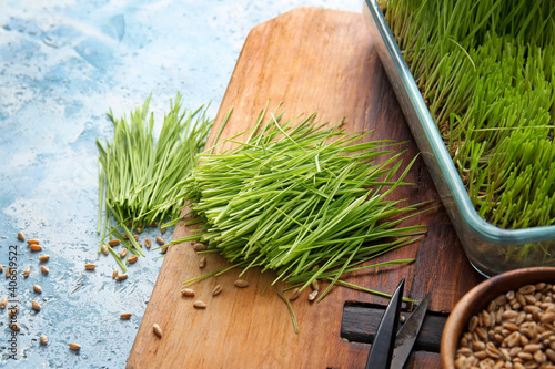 Photos Fresh wheatgrass and seeds on color background