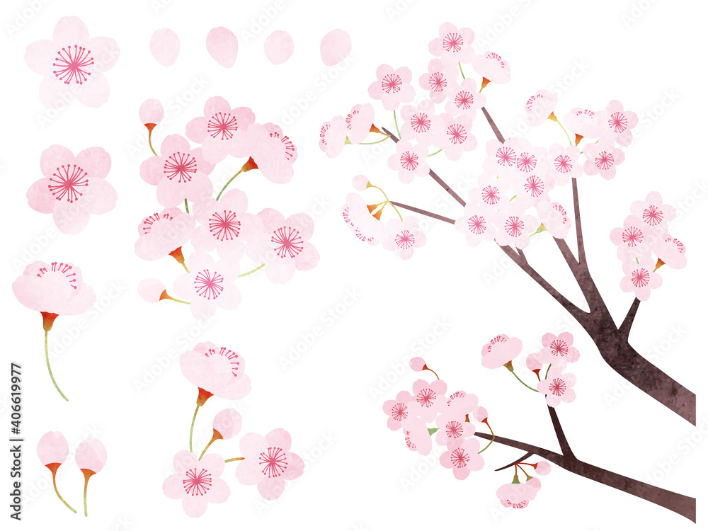 水彩風 いろんな桜の素材イラスト