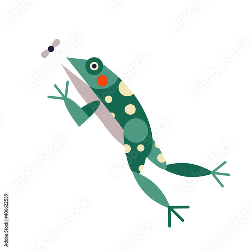Frog Jump and Caught Insect in Flat