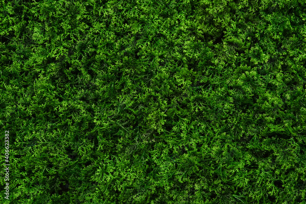 green nature background , green wall from leaves green nature background , green wall from leaves