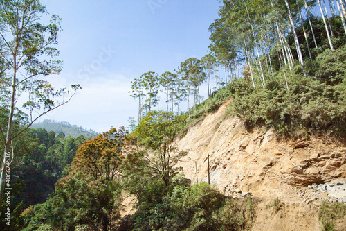 Mountain peak among thickets of forest in the jungle in Sri Lanka.