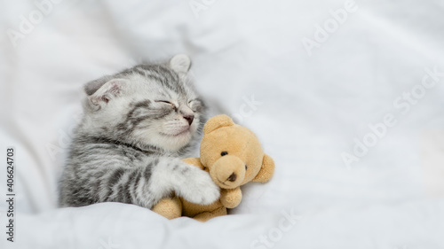 Tiny kitten sleeps under warm white blanket on a bed at home and hugs favorite toy bear. Top down view. Empty space for text