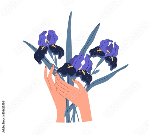 Female hands holding elegant bouquet of gorgeous violet irises isolated on white background. Beautiful bunch of cut spring flowers. Colorful flat vector illustration